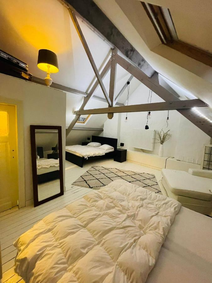 O-sea House: Herenwoning In Belle Epoque Wijk Te